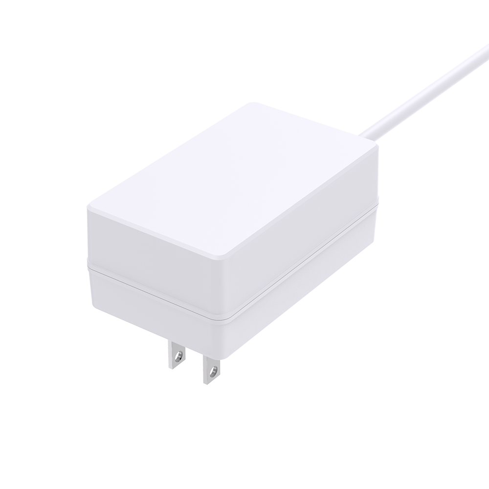 18W 24V 0.65A SAA Plug Wall Moutned Power Adapter